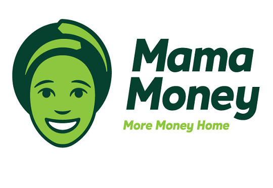 Mobile Money API Developer Portal